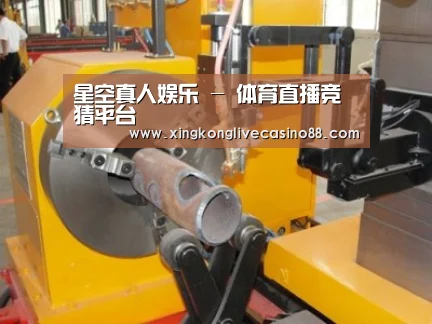 产品名称十三